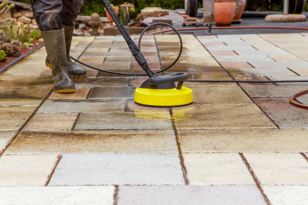 Animal Enclosure Cleaning in Sissonville, WV
